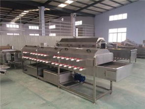 銷售莖類蔬菜水果瓜果中藥氣泡噴淋式清洗機(jī) 食品機(jī)械 加工廠設(shè)備