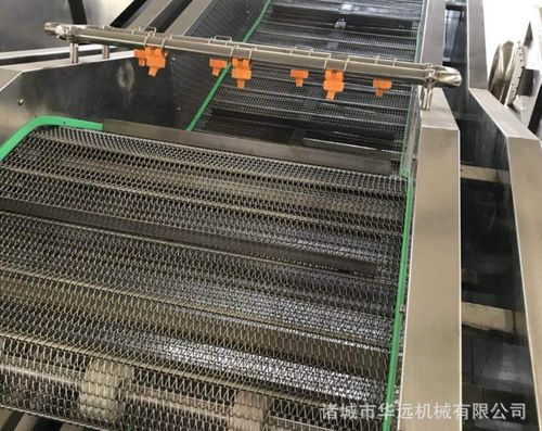 淺析怎樣選購蔬菜清洗設備安全放心那