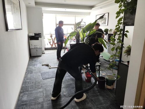 帶學(xué)員實(shí)操辦公室地毯清洗