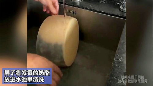 男子將發霉的奶酪,放進水池里清洗