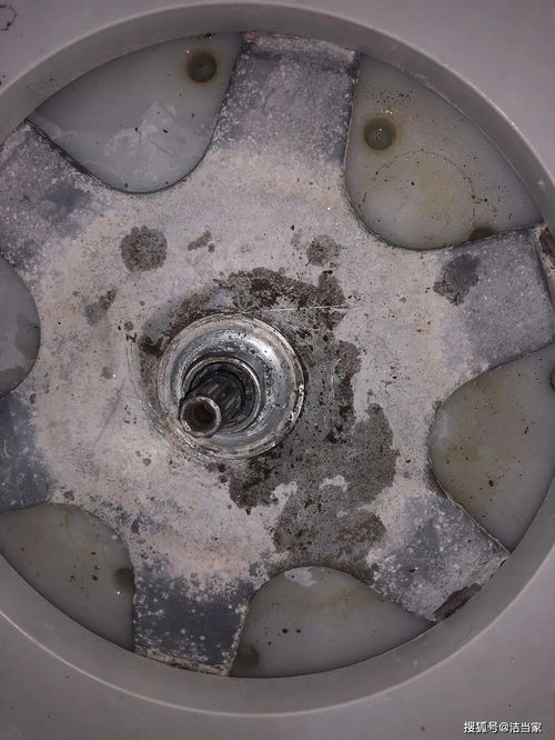 家電清洗最好請專業(yè)人士,切不可盲目拆洗,否則后果很嚴重