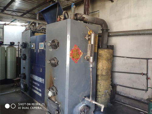 從生物質到傳統鍋爐再到蒸汽源，一位洗滌廠老板的心聲